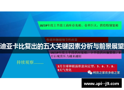 迪亚卡比复出的五大关键因素分析与前景展望