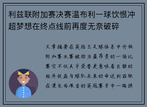利兹联附加赛决赛温布利一球饮恨冲超梦想在终点线前再度无奈破碎