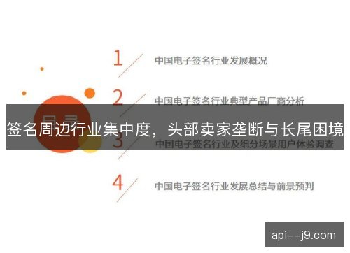 签名周边行业集中度，头部卖家垄断与长尾困境